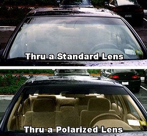 Polarized Lens Explanation