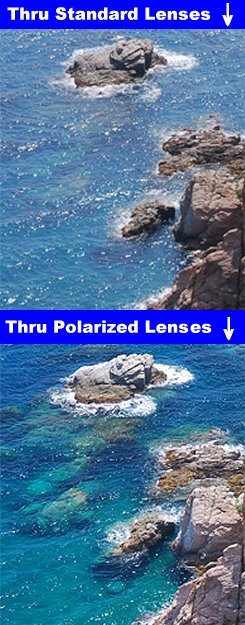 Thru Standard/Polarized Lenses